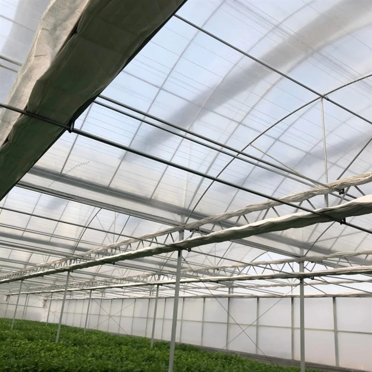 Multi-span Plastic Film Greenhouse factory